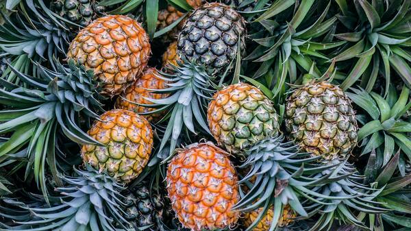 Is Pineapple Good For Arthritis