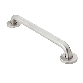 Moen Safety Grab Bar