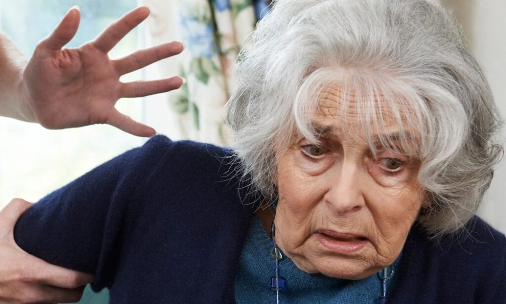 why do elderly not report domestic violence