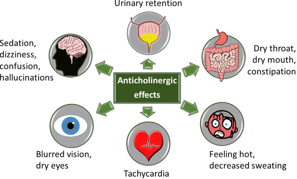 Anticholinergic Side Effects: Types&Prevention