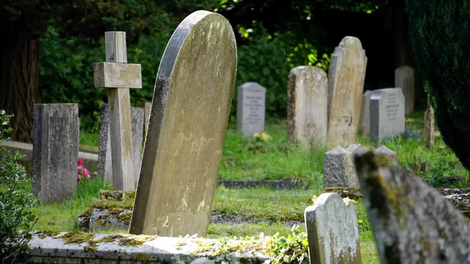 How Much Does It Cost to Bury Cremated Ashes: a Complete Guide