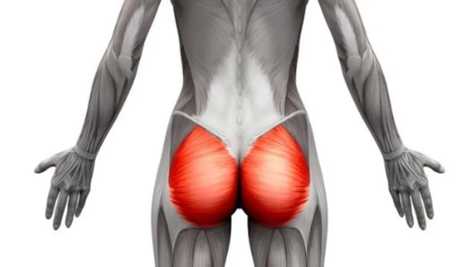 How Long Does It Take To Fix Glute Amnesia? Weeks