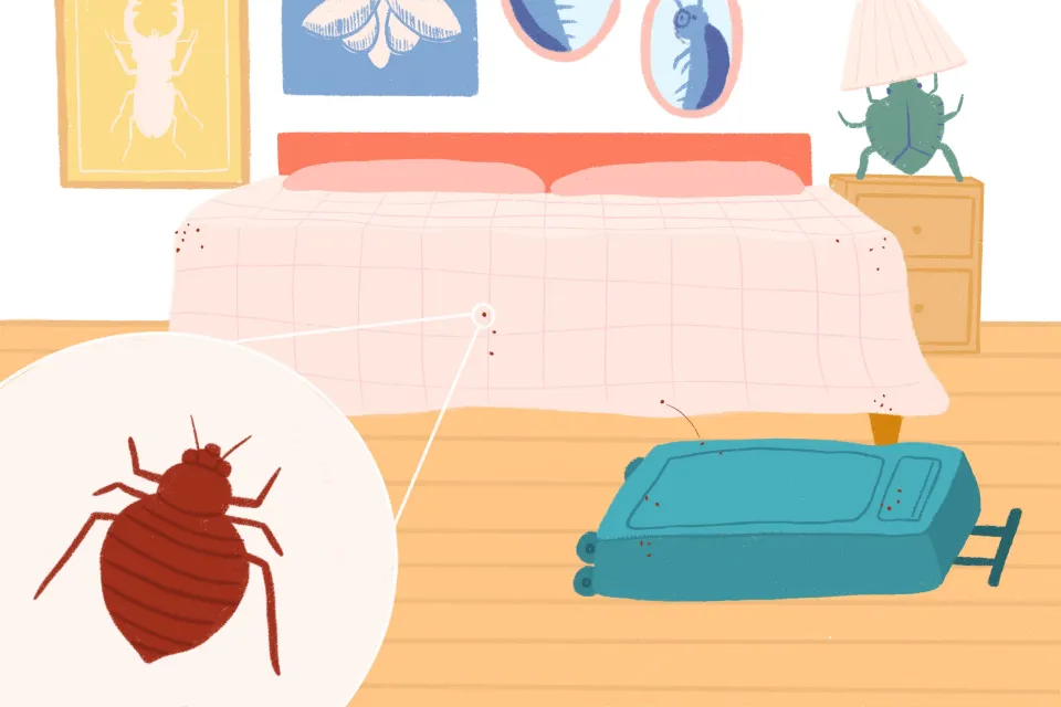 How to Get Rid of Bed Bugs in Clothes? (2023 Solved)